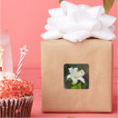 Search for white lily stickers Green