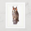 Search for horned postcards Ornithology