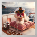 Search for lifestyles posters Animal
