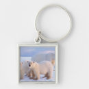 Search for pack key rings Carnivore