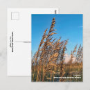 Search for oats postcards Beach