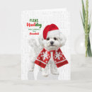 Search for bichon frise christmas cards Dogs