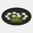 Search for edelweiss stickers Swiss