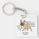 Search for anatomy key rings Dog lover