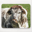 Search for longhorns electronics Cattle