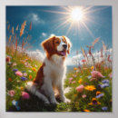 Search for brittany spaniel posters Dog