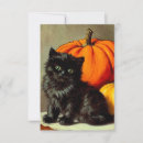 Search for pumpkin save the dates Harvest