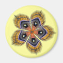 Search for silk magnets Colourful