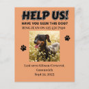 Search for digit flyers Digital download