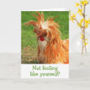 Search for funny chicken card cards Barnyard