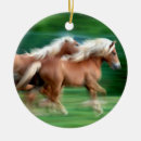 Search for palomino horse christmas tree decorations Equestrian