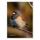 Search for dark brown cards Nature