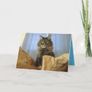 Search for retirement cat cards Cute