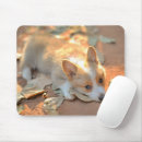 Search for shy mousepads Dog