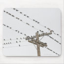 Search for around electronics Photography