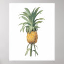 Search for ananas rose posters For her