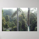 Search for rainforest posters Souvenir