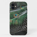 Search for plumage cases Peacock