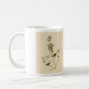 Search for wren bird mugs Illustration