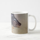 Search for pot bellied mugs Funny
