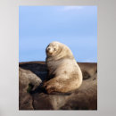 Search for domination posters Wild