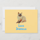 Search for cat lady invitations Kitten