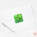 Search for cute clover stickers Shamrocks