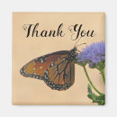 Search for monarch butterfly magnets Orange