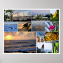 Search for kona art Island