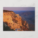 Search for environment cards invites Canyon