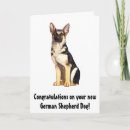 Search for german congratulations cards Shepherd