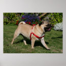 Search for panting posters Walking