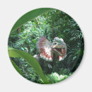 Search for dinosaur magnets Wild