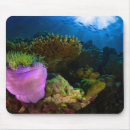 Search for undersea mousepads Tropical