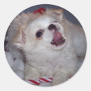 Search for dog postage Santa