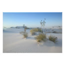 Search for shrub art Nature