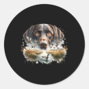 Search for labrador duck stickers Deer hunter