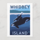 Search for orca postcards Lantern