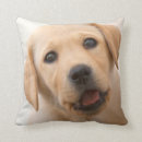 Search for labrador cushions Pets