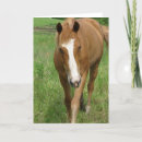 Search for gelding cards Equine