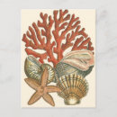 Search for collectable postcards Nature
