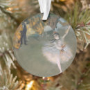 Search for ballerina christmas tree decorations Elegant