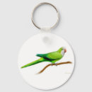 Search for parakeet key rings Avian