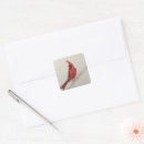 Search for cardinal bird stickers Red