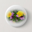 Search for yellow pansy badges Flowers