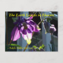 Search for columbine flowers postcards Photography