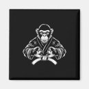 Search for knockout magnets Martial arts lifestyle