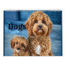 Search for pit calendars Terrier