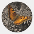 Search for orange butterfly stickers Bug