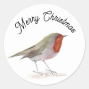 Search for robin redbreast stickers Animals